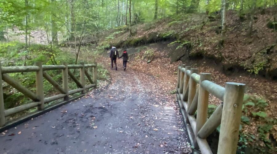 Yedigöller Abant Gölcük Amasra Safranbolu- Batı Karadeniz Turu Yaprak Dökümü Zamanı 