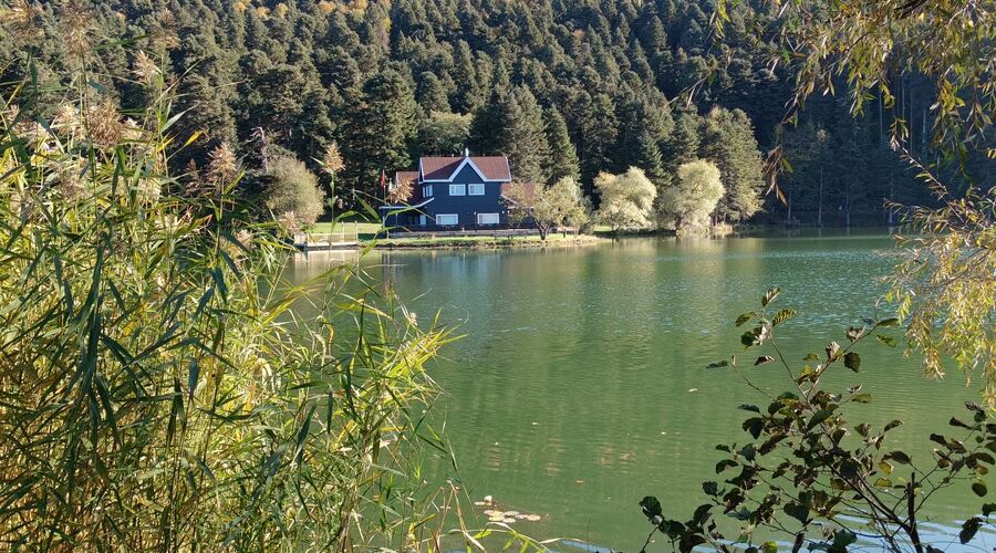 Yedigöller Abant Gölcük Amasra Safranbolu- Batı Karadeniz Turu Yaprak Dökümü Zamanı 