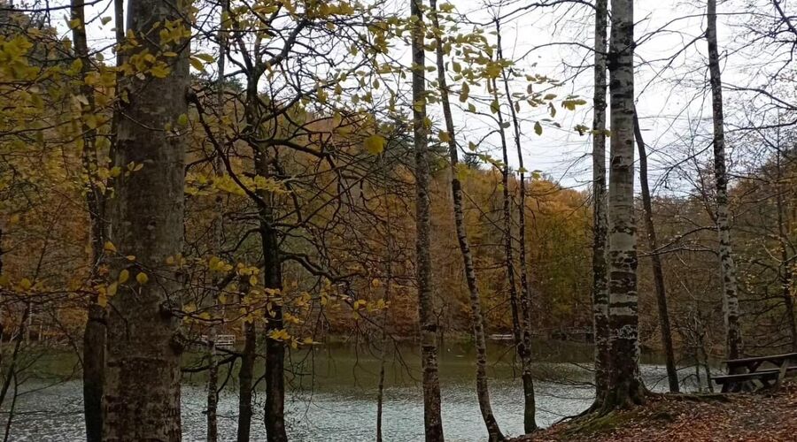 Yedigöller Abant Gölcük Amasra Safranbolu- Batı Karadeniz Turu Yaprak Dökümü Zamanı 