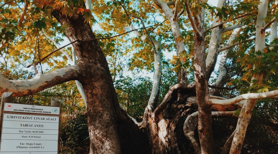 Yazılı Kanyon Sagalassos Kovada Gölü Eğirdir Turu- Antalya Çıkışlı Günübirlik 