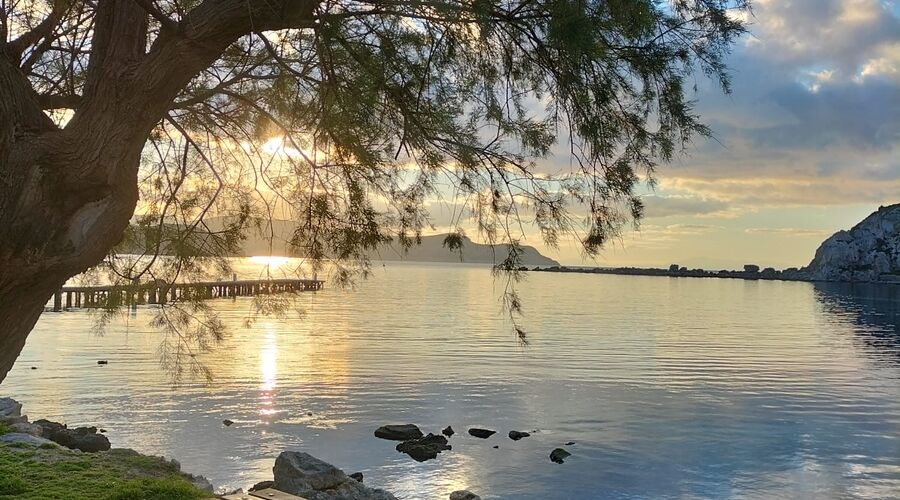 Günübirlik / Datça Badem Çiçeği Festivali Turu 