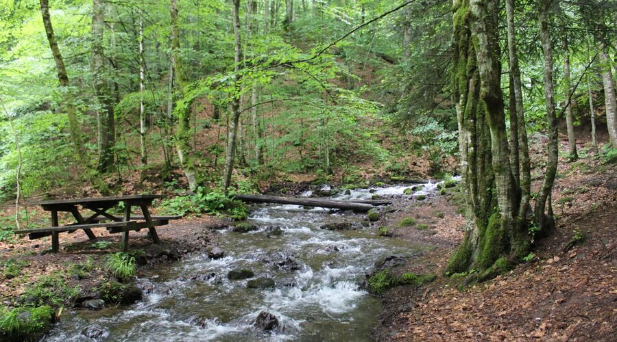 Yedigöller Abant Gölcük Amasra Safranbolu- Batı Karadeniz Turu Yaprak Dökümü Zamanı 