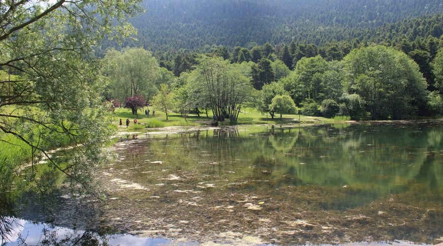 Yedigöller Abant Gölcük Amasra Safranbolu- Batı Karadeniz Turu Yaprak Dökümü Zamanı 