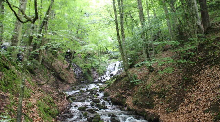 Yedigöller Abant Gölcük Amasra Safranbolu- Batı Karadeniz Turu Yaprak Dökümü Zamanı 