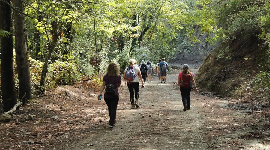 Kral Havuzu Uçansu Şelaleleri  Doğa Yürüyüşü  
