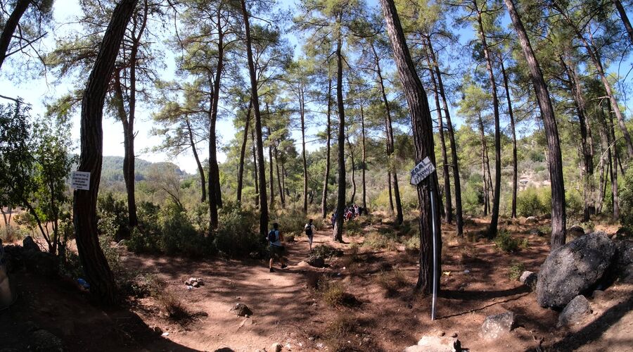 Kral Havuzu Uçansu Şelaleleri  Doğa Yürüyüşü  