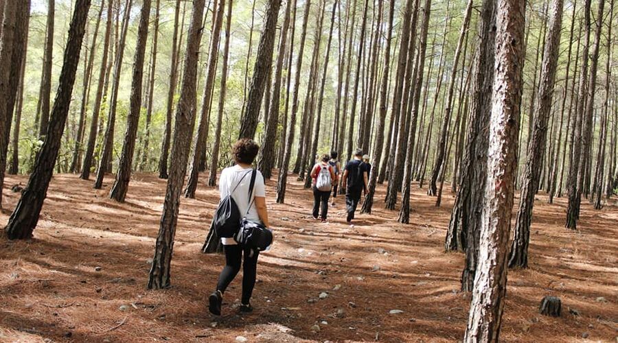 Kral Havuzu Uçansu Şelaleleri  Doğa Yürüyüşü  