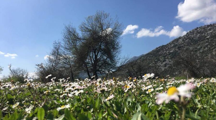 Termessos Antik Kenti Karataş Mağarası Kapuz Kanyonu Turu