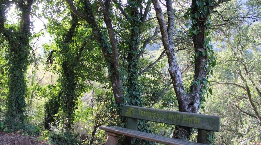 Termessos Antik Kenti Karataş Mağarası Kapuz Kanyonu Turu