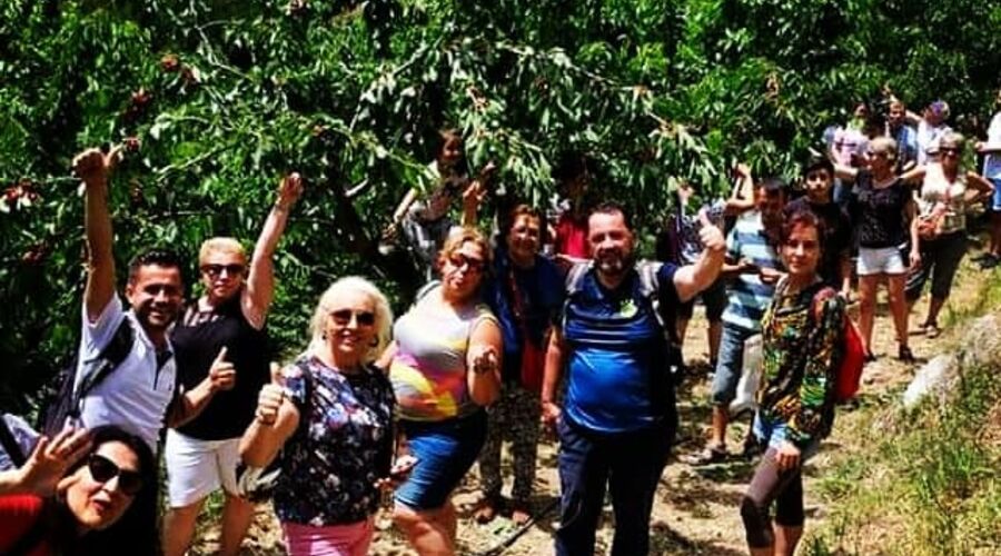 Dalından Kiraz Toplama Burmahan Alabalık Çiftliği Tazı Kanyonu Köprülü Kanyon ATV Safari