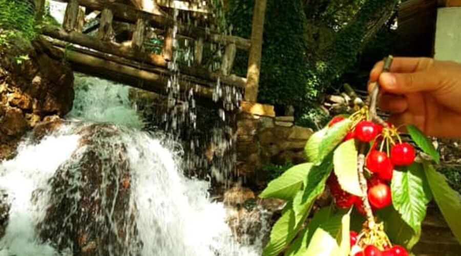 Dalından Kiraz Toplama Burmahan Alabalık Çiftliği Tazı Kanyonu Köprülü Kanyon ATV Safari