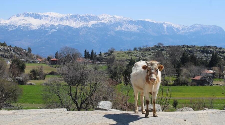 Adam Kayalar Zerk Köyü Doğa Yürüyüşü,Selge Antik Kenti Tazı Kanyonu Atv Safari Kültür ve Doğa Turu 