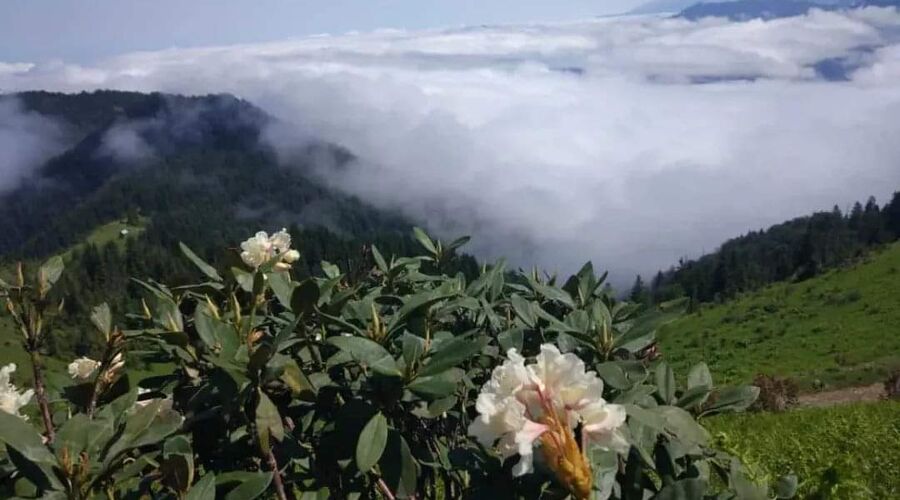 Doğu Karadeniz Turu 